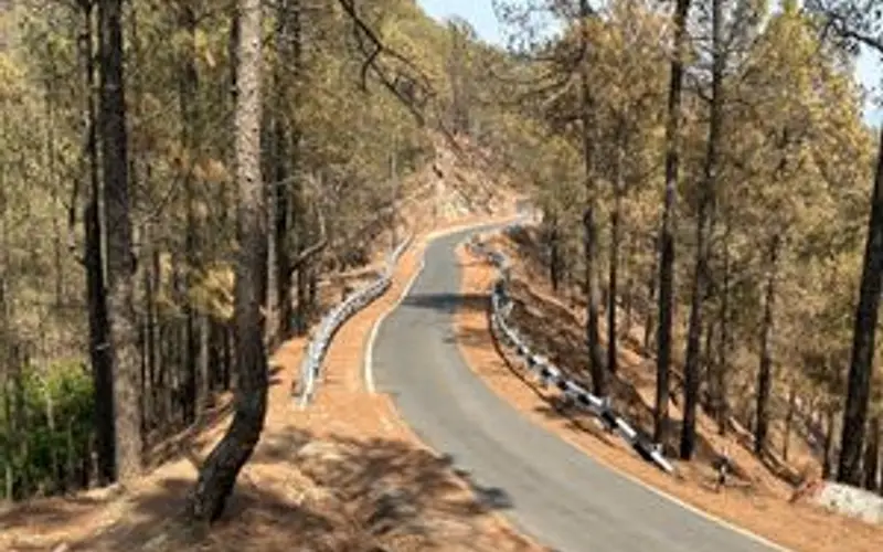 Delhi- Dharamshala (470 Km/10-11 hrs) — photo 1