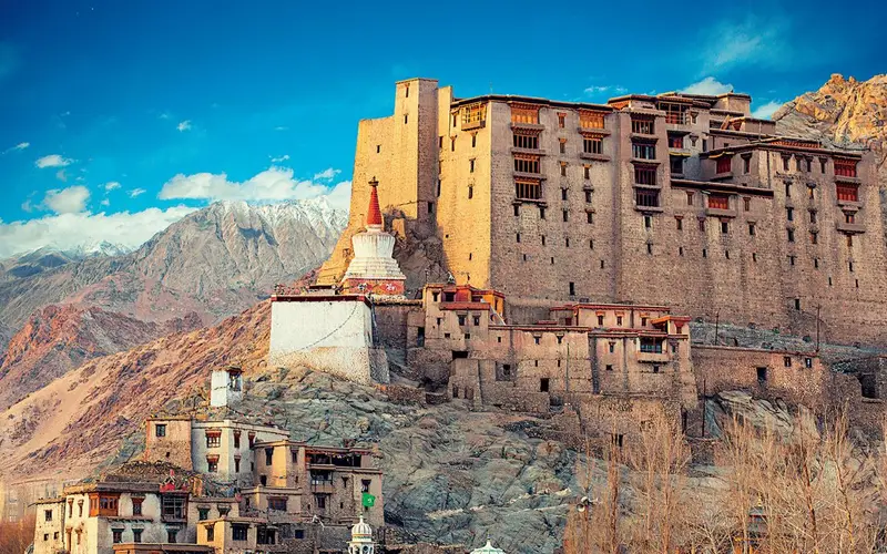 ARRIVE LEH — photo 2