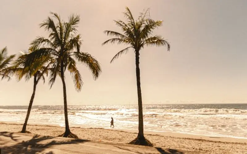 Relax & Rejuvenate: Goa Beach Holiday