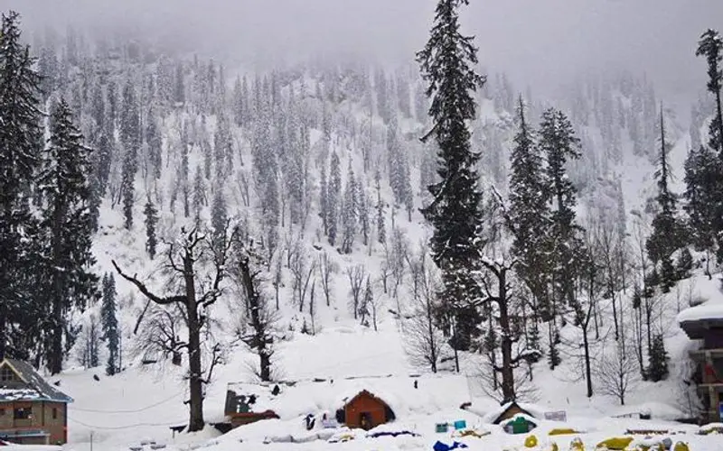 Chandigarh to Narkanda Via Shimla (175 Kms) — photo 2